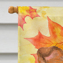 Load image into Gallery viewer, Sheltie Fall Flag Canvas House Size BB9981CHF