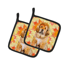Load image into Gallery viewer, Tibetan Mastiff Fall Pot Holders - Set of 2 - Heat-Resistant Kitchen Essentials BB9982PTHD