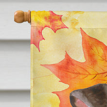 Load image into Gallery viewer, Miniature Pinscher #2 Fall Flag Canvas House Size BB9985CHF