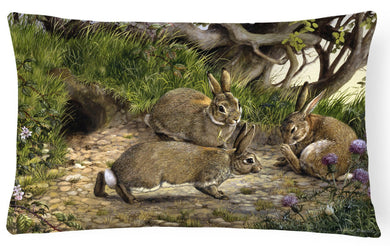 Rabbits and the Rabbit Hole Fabric Decorative Pillow BDBA0136PW1216