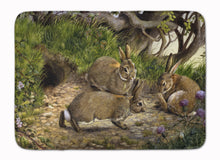 Load image into Gallery viewer, Rabbits and the Rabbit Hole Machine Washable Memory Foam Mat BDBA0136RUG