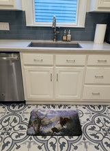 Load image into Gallery viewer, Eagles by Daphne Baxter Machine Washable Memory Foam Mat BDBA0153RUG