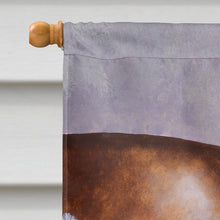 Load image into Gallery viewer, Dalmatian with Cat Flag Canvas House Size BDBA0265CHF