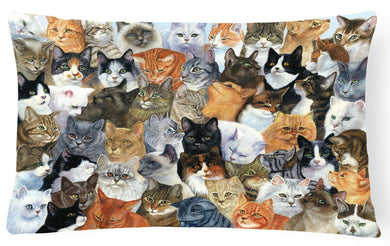 Cats Galore Fabric Decorative Pillow BDBA0414PW1216