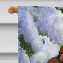 Load image into Gallery viewer, Red Cardinal by Daphne Baxter Flag Canvas House Size BDBA0415CHF