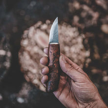 Load image into Gallery viewer, Roselli RW231 Bear Claw, UHC Steel
