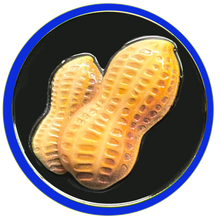 Load image into Gallery viewer, GL2-002 Deez Nuts challenge coin with 3D nuts Police Funny Gag Gift Thin Blue Line