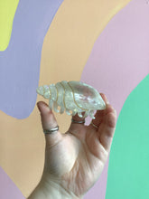 Load image into Gallery viewer, Conch Hair Claw