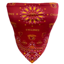 Load image into Gallery viewer, Iowa State Bandana Top