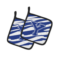 Load image into Gallery viewer, Monogram Initial Y Tiger Stripe Blue and White Pot Holders - Set of 2 - Heat-Resistant Kitchen Essentials CJ1034-YPTHD