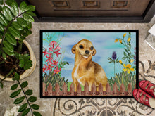 Load image into Gallery viewer, Chihuahua Spring Doormat - 18x27 Decorative Floor Mat – Indoor/Outdoor Rug with Artistic Flair CK1220MAT