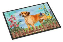Load image into Gallery viewer, Rhodesian Ridgeback Spring Doormat - 18x27 Decorative Floor Mat – Indoor/Outdoor Rug with Artistic Flair CK1238MAT
