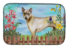 Load image into Gallery viewer, Thai Ridgeback Spring Dish Drying Mat – Absorbent, Artistic Kitchen Essentials CK1242DDM
