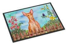 Load image into Gallery viewer, Pharaoh Hound Spring Doormat - 24x36 Decorative Floor Mat – Indoor/Outdoor Rug with Artistic Flair CK1277JMAT