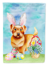 Load image into Gallery viewer, Norfolk Terrier Easter Bunny Flag Canvas House Size CK1376CHF