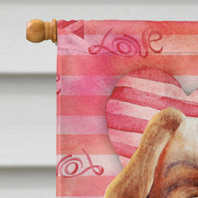 Load image into Gallery viewer, Cavalier Spaniel Love Flag Canvas House Size CK1391CHF