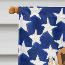 Load image into Gallery viewer, Patriotic USA Rough Collie Flag Canvas House Size CK1719CHF
