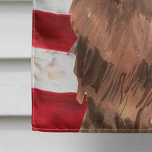 Load image into Gallery viewer, Patriotic USA Newfoundland Flag Canvas House Size CK1721CHF