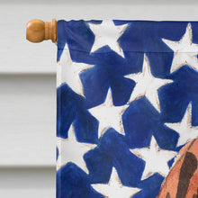 Load image into Gallery viewer, Patriotic USA Vizsla Flag Canvas House Size CK1729CHF