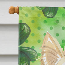 Load image into Gallery viewer, Shamrocks White Collie Flag Canvas House Size CK1782CHF
