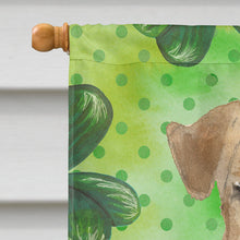 Load image into Gallery viewer, Shamrocks Welsh Terrier Flag Canvas House Size CK1784CHF