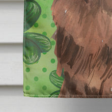 Load image into Gallery viewer, Shamrocks Newfoundland Flag Canvas House Size CK1795CHF