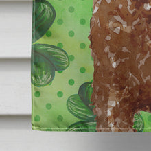 Load image into Gallery viewer, Shamrocks Labradoodle Flag Canvas House Size CK1800CHF