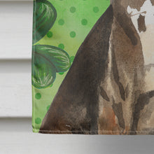 Load image into Gallery viewer, Shamrocks Catahoula Leopard Dog Flag Canvas House Size CK1808CHF