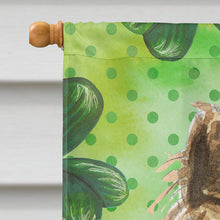 Load image into Gallery viewer, Shamrocks Cairn Terrier Flag Canvas House Size CK1809CHF