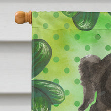 Load image into Gallery viewer, Shamrocks Bernese Mountain Dog Flag Canvas House Size CK1815CHF