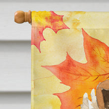 Load image into Gallery viewer, Fall Leaves Rough Collie Flag Canvas House Size CK1830CHF