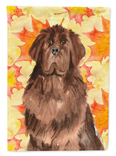 Load image into Gallery viewer, Fall Leaves Newfoundland Flag Canvas House Size CK1832CHF