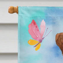 Load image into Gallery viewer, Easter Eggs Boxer Flag Canvas House Size CK1921CHF