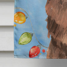 Load image into Gallery viewer, Christmas Lights Newfoundland Flag Canvas House Size CK2487CHF