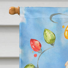 Load image into Gallery viewer, Christmas Lights Spinone Italiano Flag Canvas House Size CK2496CHF