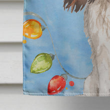 Load image into Gallery viewer, Christmas Lights Tricolor Cavalier Spaniel Flag Canvas House Size CK2510CHF