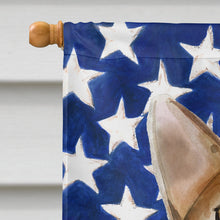 Load image into Gallery viewer, Abyssinian American Flag Flag Canvas House Size CK3027CHF