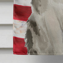 Load image into Gallery viewer, Ragamuffin American Flag Flag Canvas House Size CK3036CHF