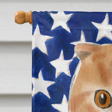 Load image into Gallery viewer, Scottish Fold American Flag Flag Canvas House Size CK3038CHF