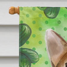 Load image into Gallery viewer, Abyssinian Shamrock Flag Canvas House Size CK3057CHF