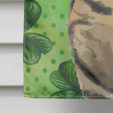 Load image into Gallery viewer, American Shorthair Brown Tabby Shamrock Flag Canvas House Size CK3058CHF