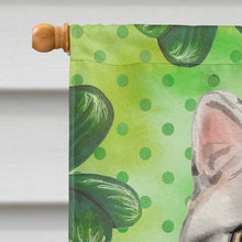 Load image into Gallery viewer, American Shorthair Shamrock Flag Canvas House Size CK3059CHF