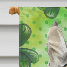 Load image into Gallery viewer, Maine Coon Shamrock Flag Canvas House Size CK3064CHF