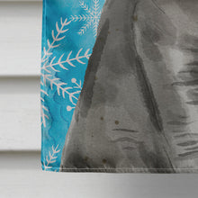 Load image into Gallery viewer, British Shorthair Winter Snowflake Flag Canvas House Size CK3108CHF