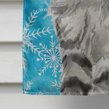 Load image into Gallery viewer, Maine Coon Winter Snowflake Flag Canvas House Size CK3109CHF