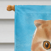 Load image into Gallery viewer, Scottish Fold in Sunflowers Flag Canvas House Size CK3158CHF