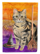 Load image into Gallery viewer, American Shorthair Brown Tabby Halloween Garden Flag - Outdoor Decorative Yard Flag CK3178GF