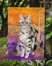 Load image into Gallery viewer, American Shorthair Halloween Garden Flag - Outdoor Decorative Yard Flag CK3179GF
