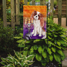 Load image into Gallery viewer, Hallween Blenheim Cavalier Spaniel Garden Flag - Outdoor Decorative Yard Flag CK3192GF