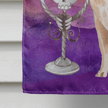 Load image into Gallery viewer, Hallween Chihuahua Flag Canvas House Size CK3210CHF